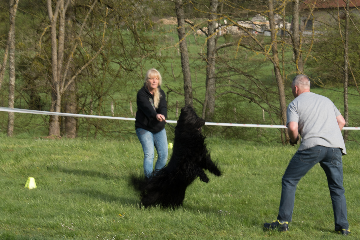 2018_04_15_Manif_Canine_JeF_005.jpg