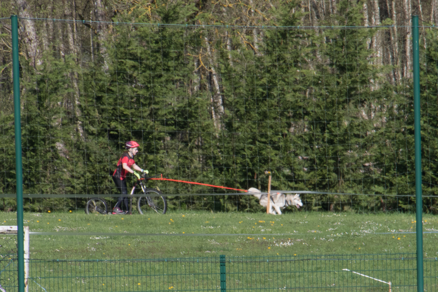 2018_04_15_Manif_Canine_JeF_029.jpg
