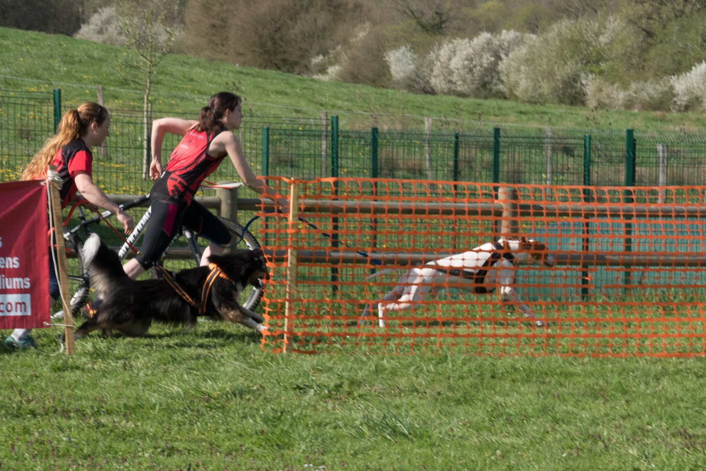 2018_04_15_Manif_Canine_JeF_031.jpg