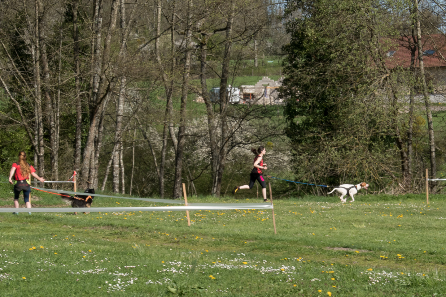 2018_04_15_Manif_Canine_JeF_033.jpg