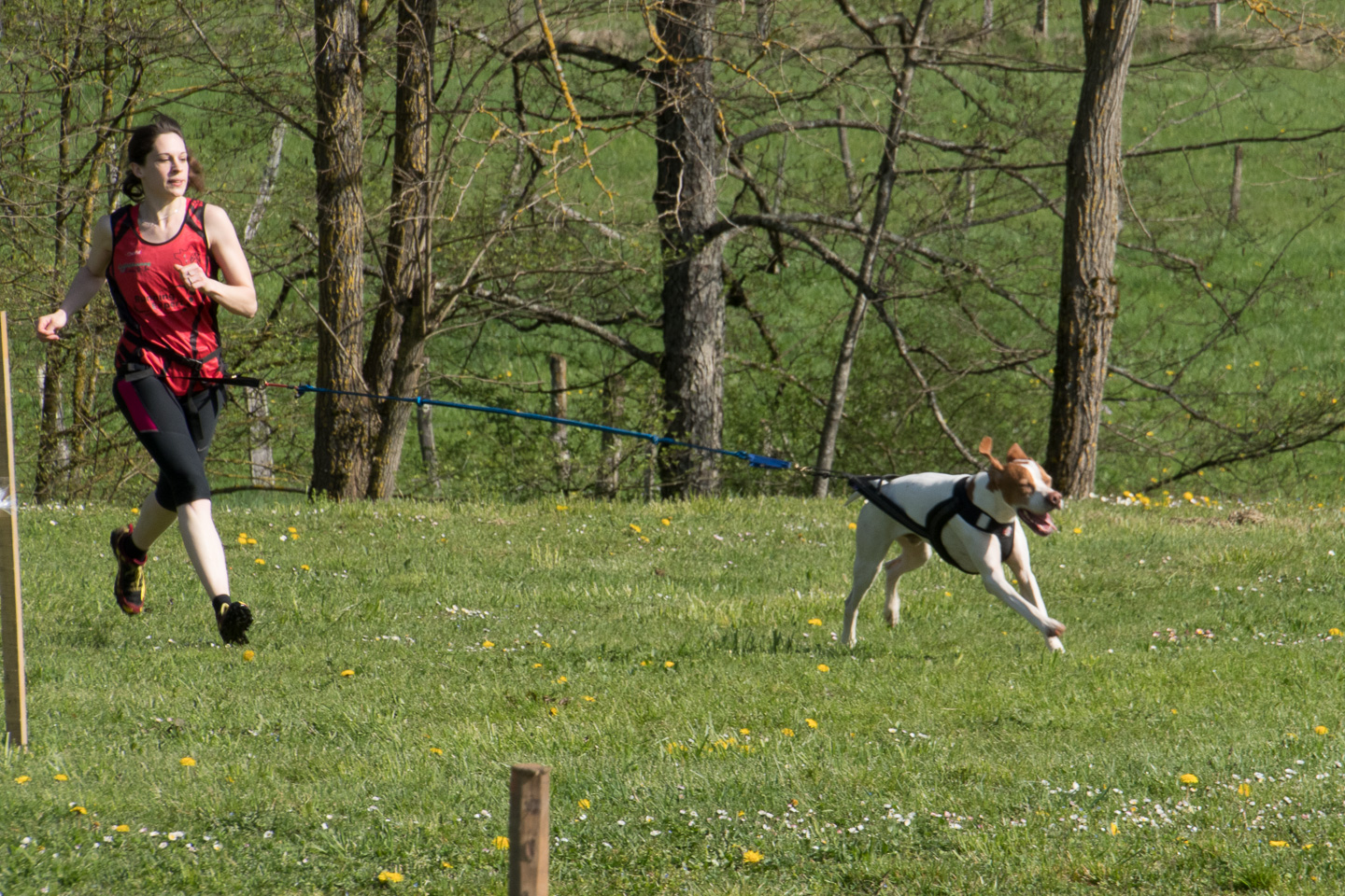 2018_04_15_Manif_Canine_JeF_034.jpg