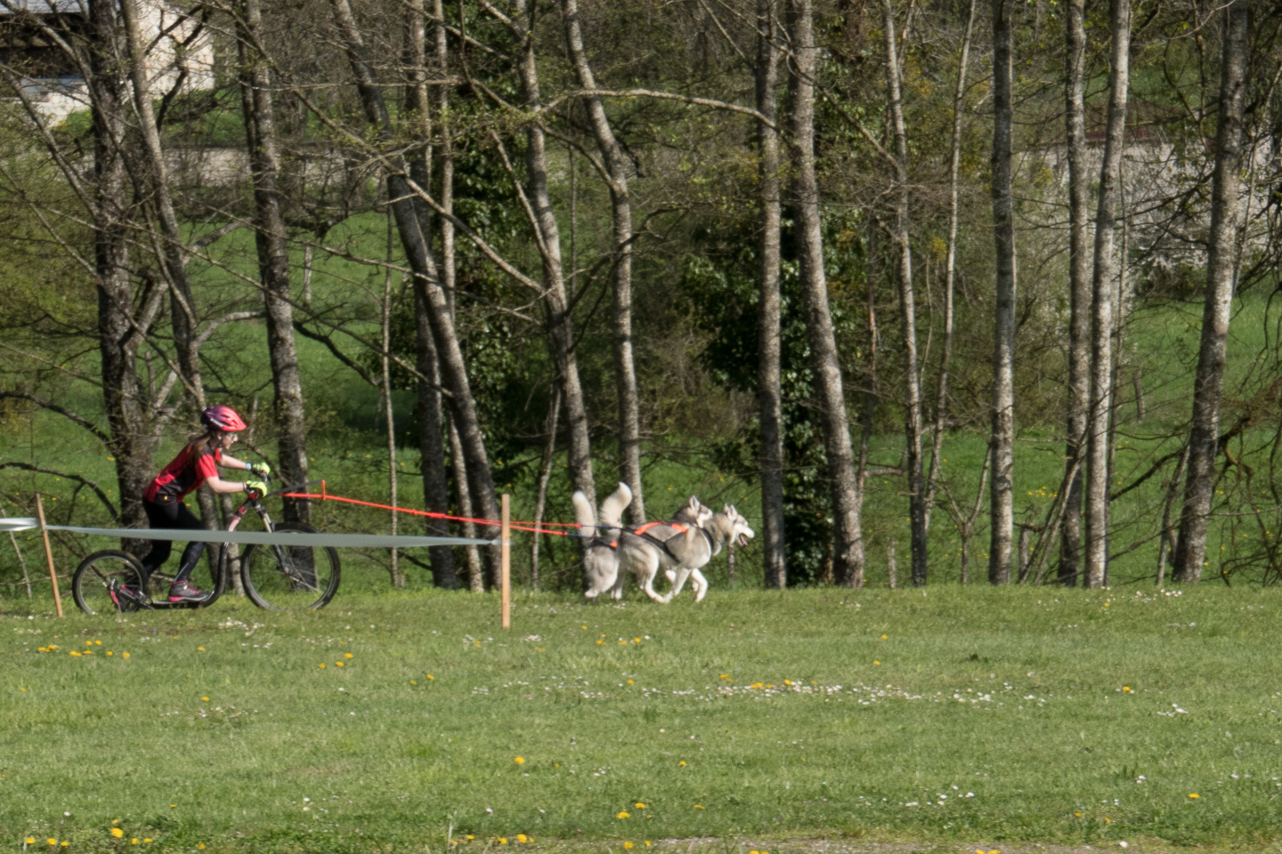 2018_04_15_Manif_Canine_JeF_037.jpg