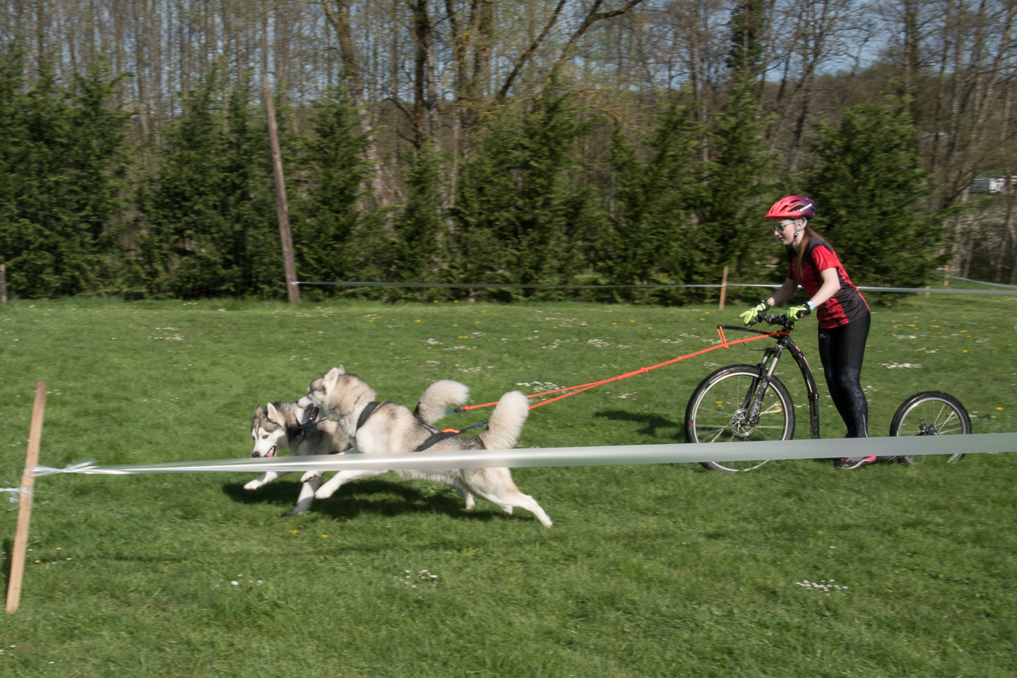 2018_04_15_Manif_Canine_JeF_038.jpg