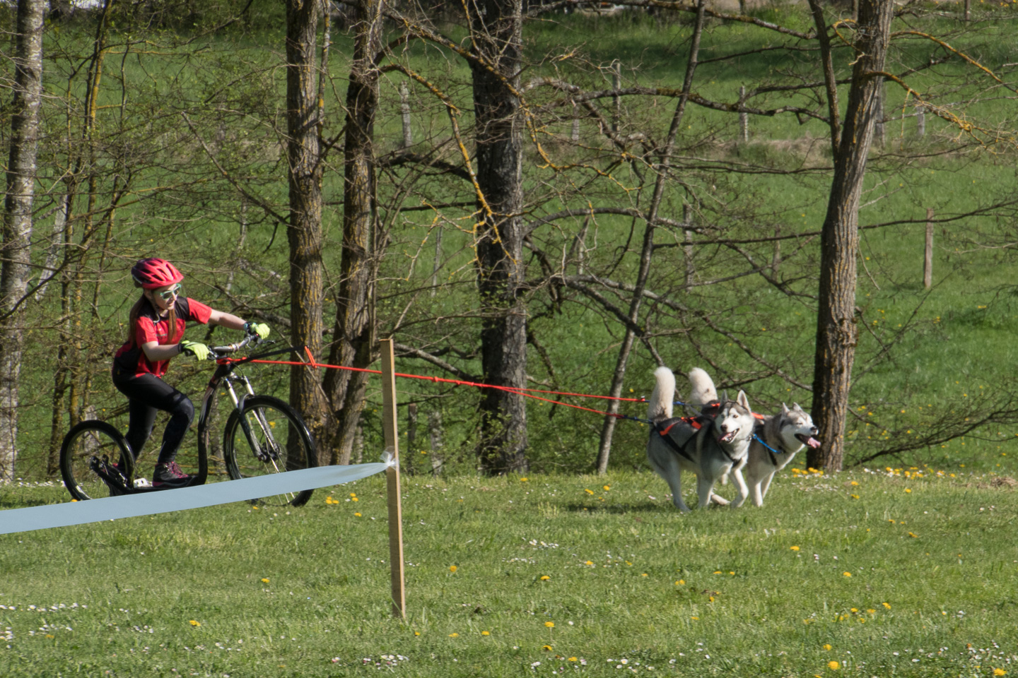 2018_04_15_Manif_Canine_JeF_040.jpg