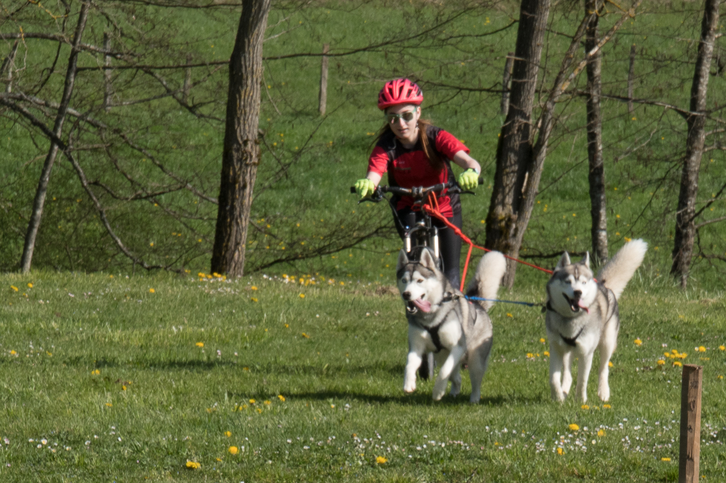 2018_04_15_Manif_Canine_JeF_041.jpg