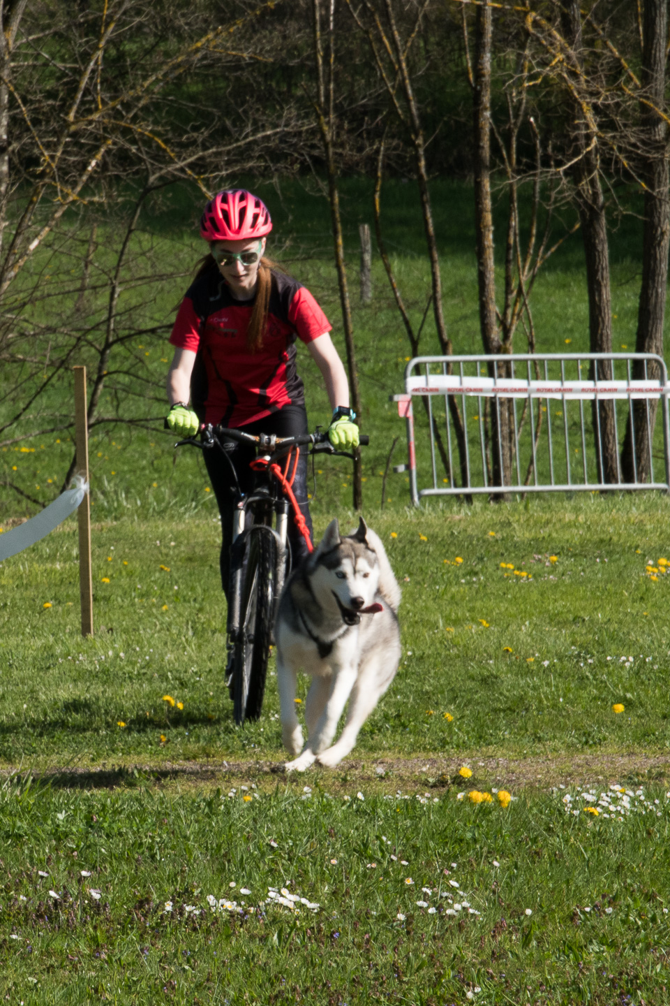 2018_04_15_Manif_Canine_JeF_042.jpg