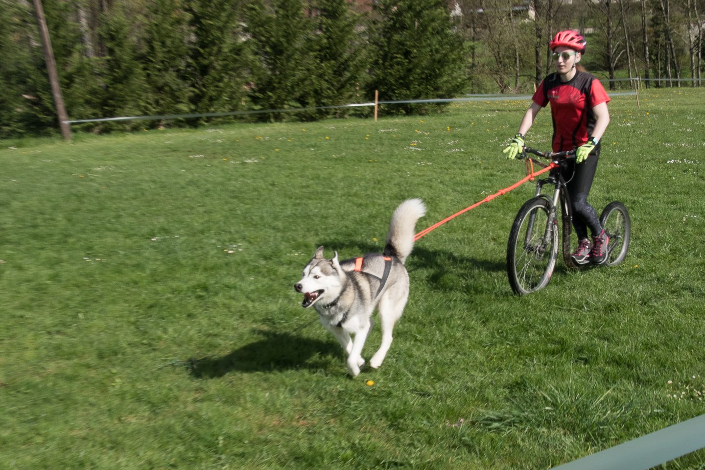2018_04_15_Manif_Canine_JeF_043.jpg