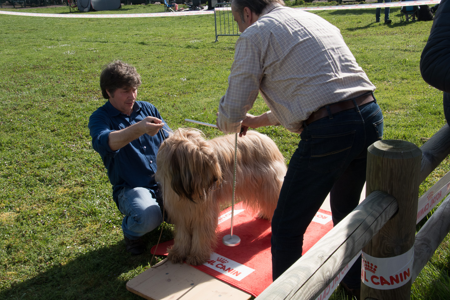 2018_04_15_Manif_Canine_JeF_047.jpg