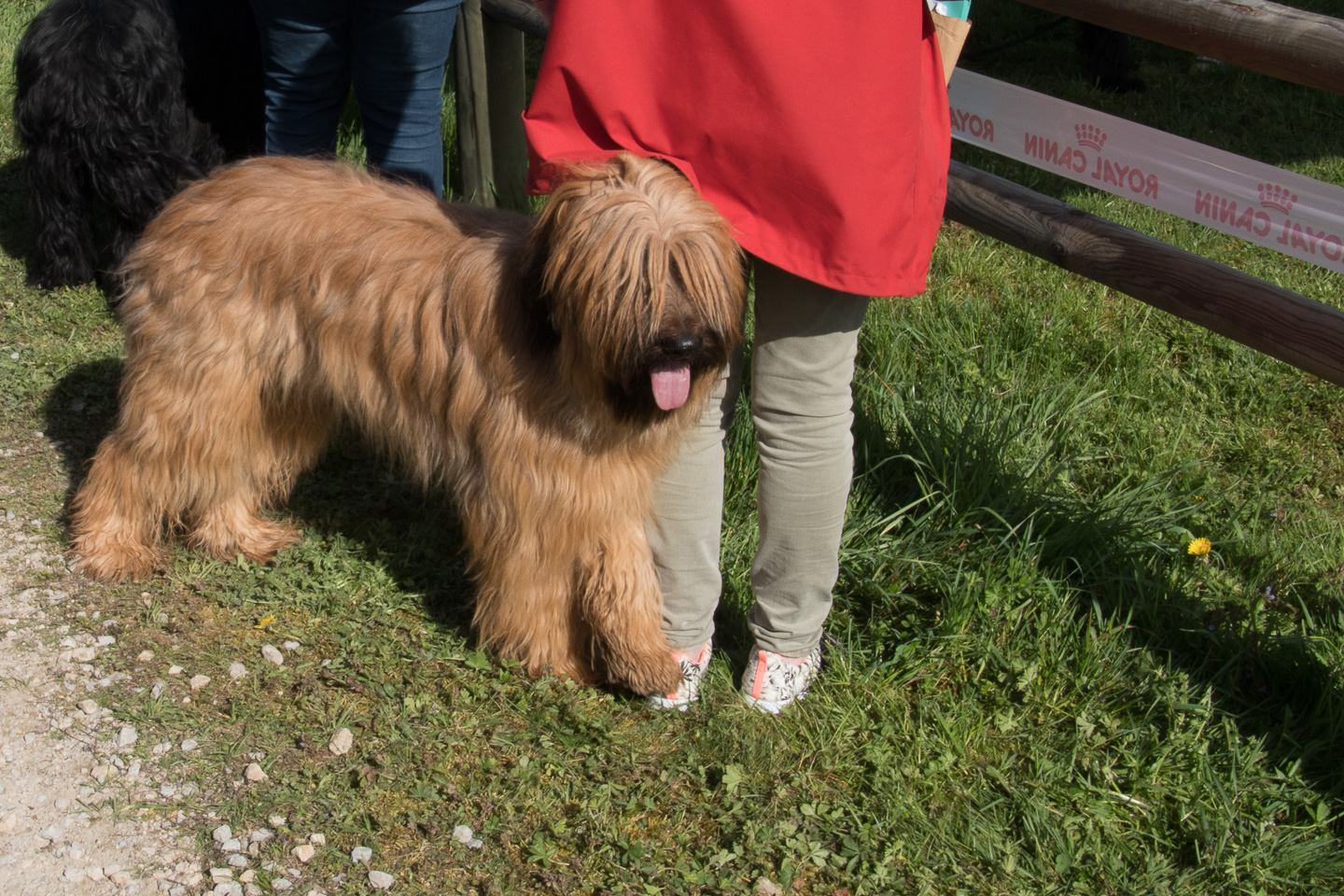 2018_04_15_Manif_Canine_JeF_049.jpg