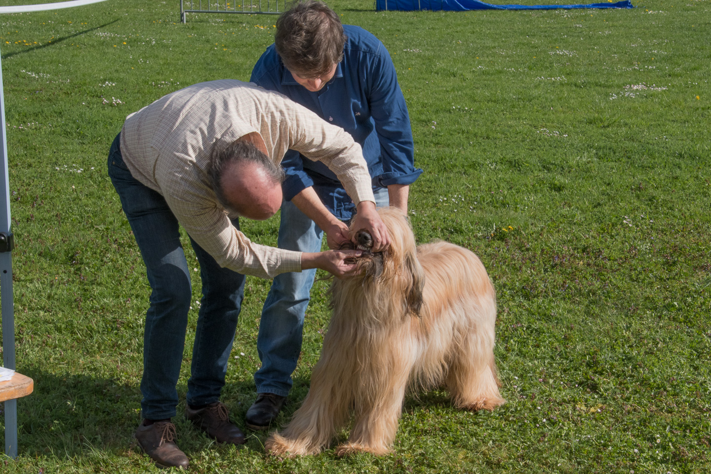 2018_04_15_Manif_Canine_JeF_050.jpg