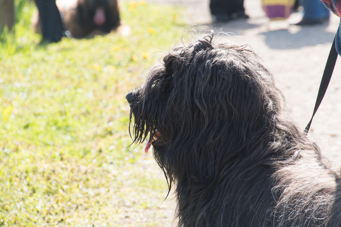 2018_04_15_Manif_Canine_JeF_058.jpg