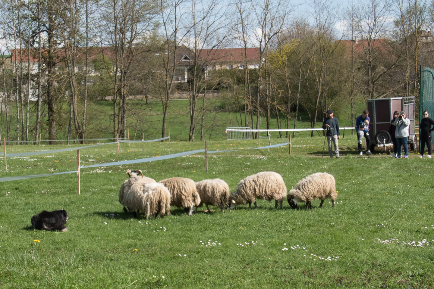 2018_04_15_Manif_Canine_JeF_063.jpg