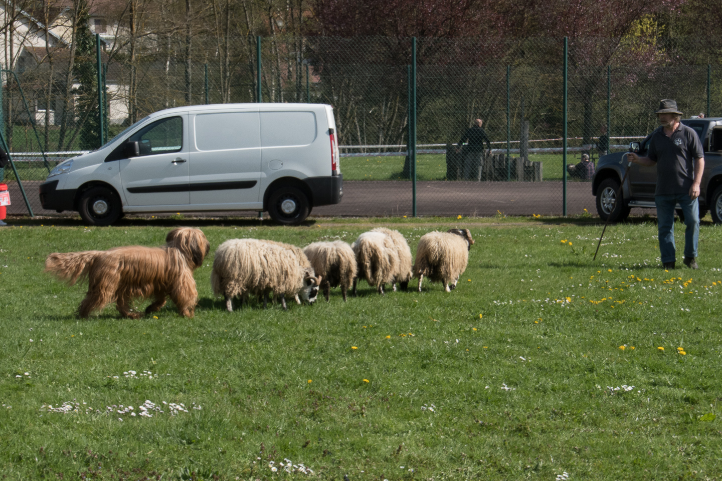 2018_04_15_Manif_Canine_JeF_065.jpg