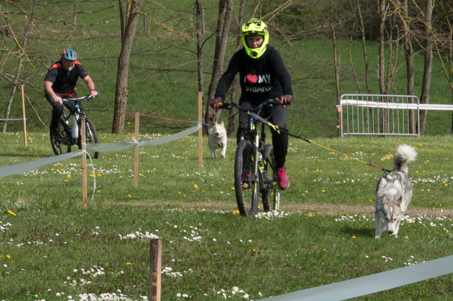 2018_04_15_Manif_Canine_JeF_093.jpg