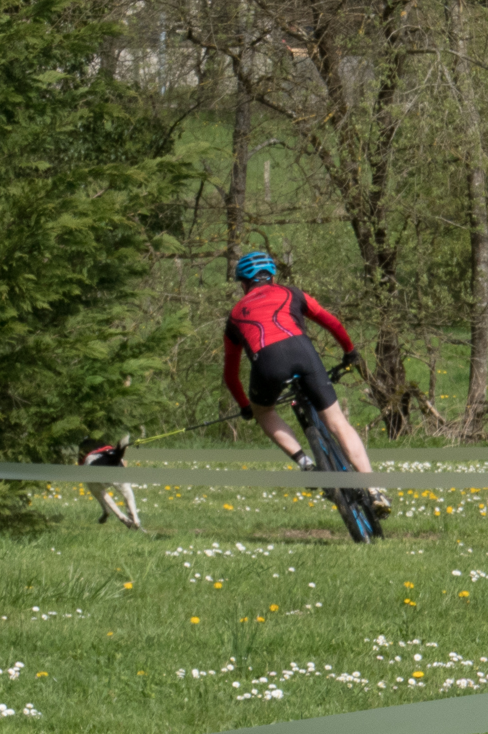 2018_04_15_Manif_Canine_JeF_094.jpg