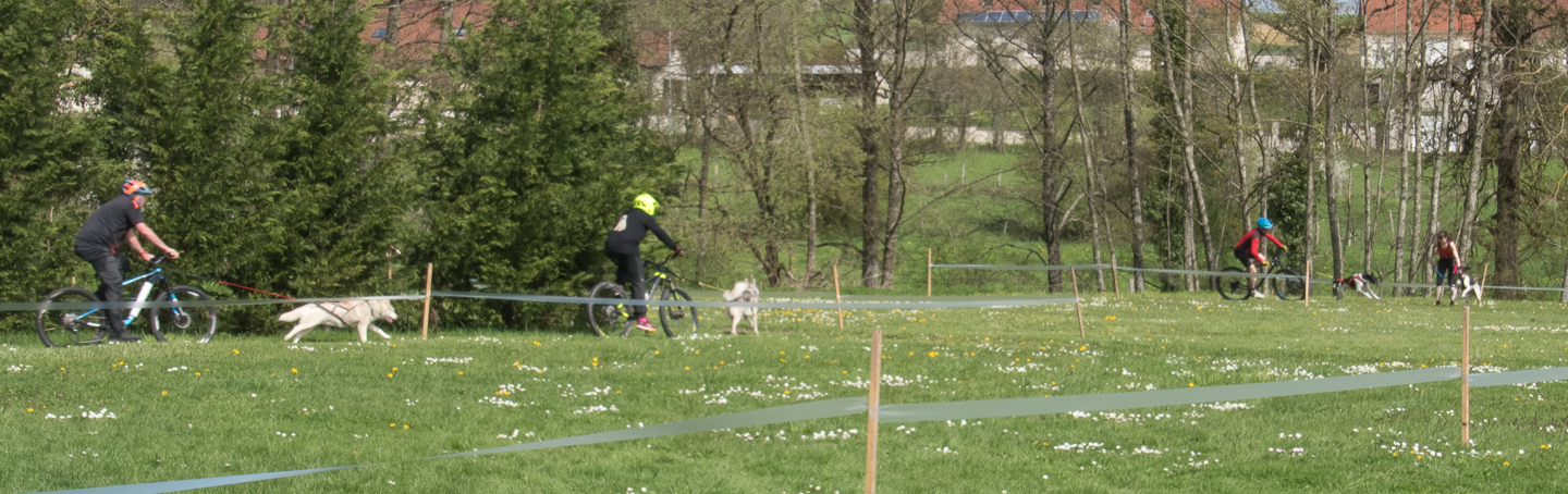 2018_04_15_Manif_Canine_JeF_095.jpg