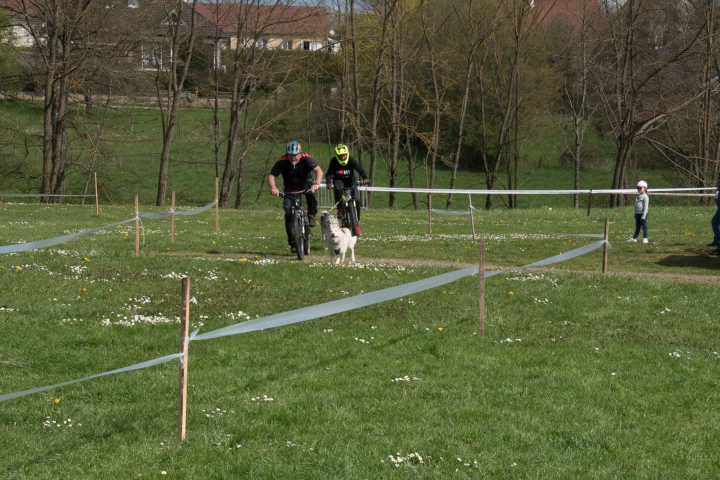 2018_04_15_Manif_Canine_JeF_097.jpg