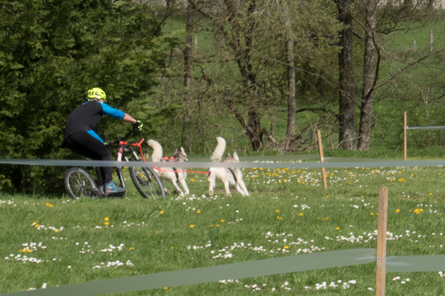 2018_04_15_Manif_Canine_JeF_101.jpg