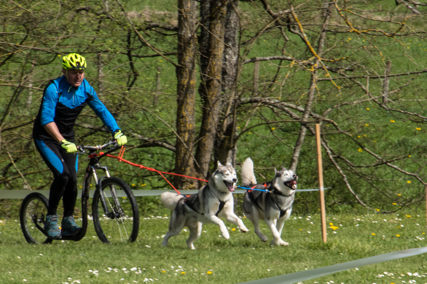 2018_04_15_Manif_Canine_JeF_102.jpg