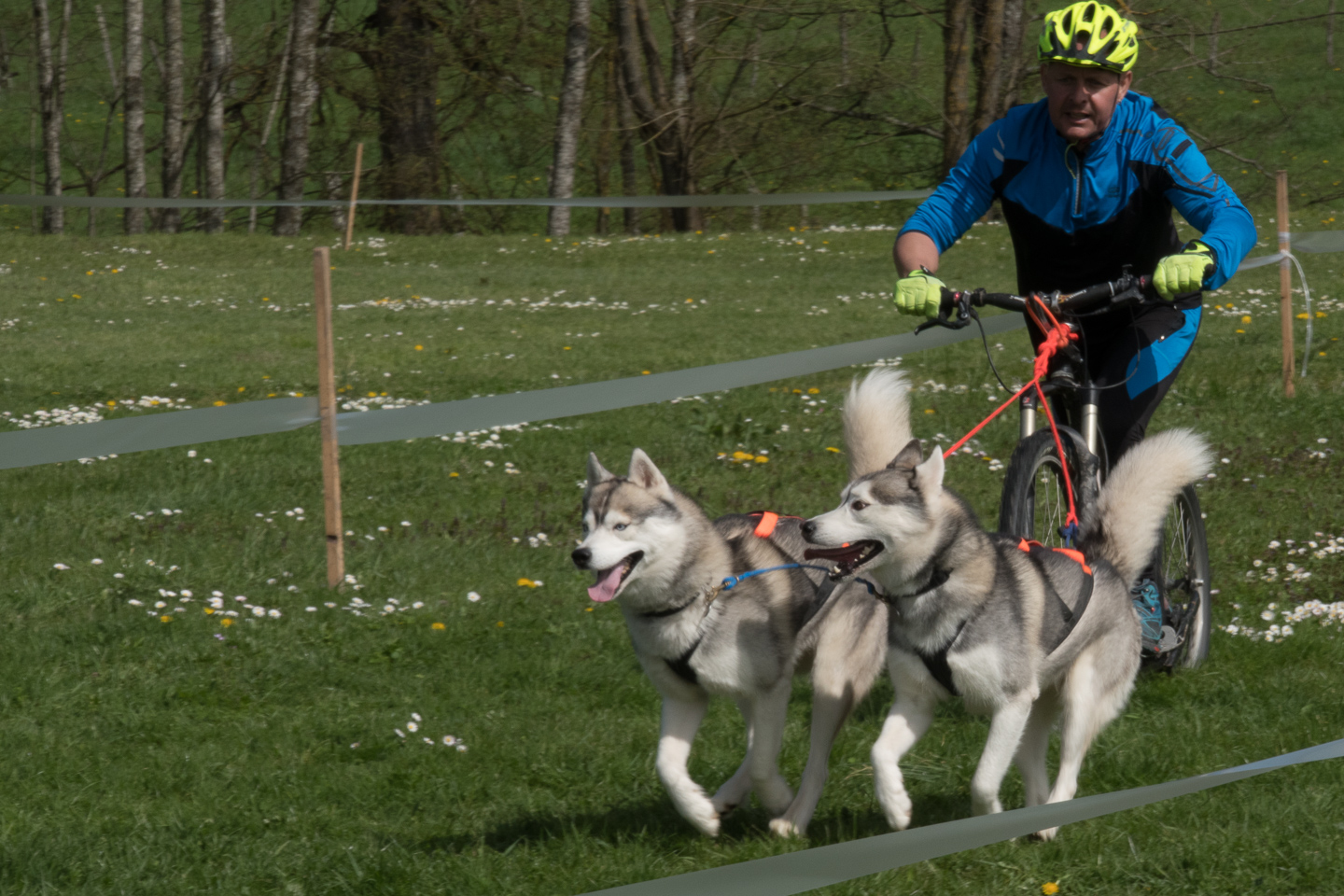 2018_04_15_Manif_Canine_JeF_103.jpg