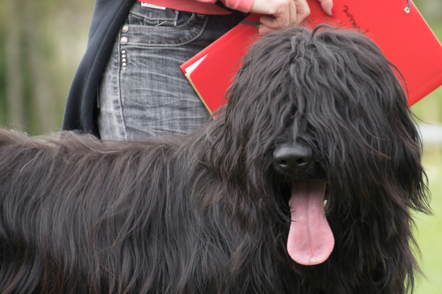 2018_04_15_Manif_Canine_JeF_107.jpg