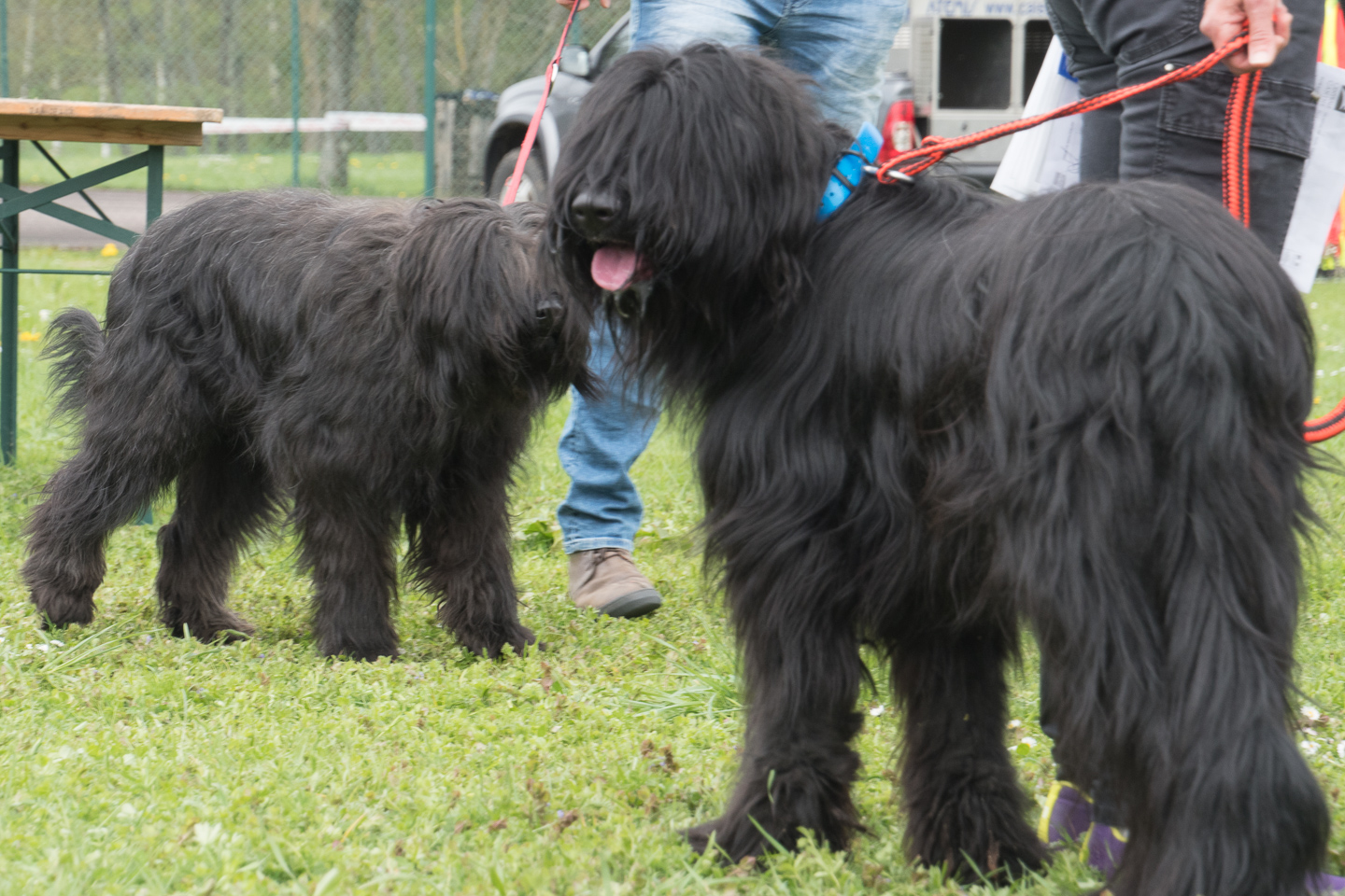 2018_04_15_Manif_Canine_JeF_108.jpg