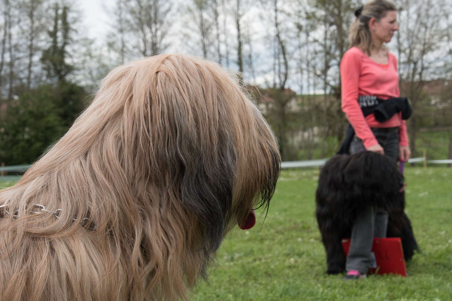 2018_04_15_Manif_Canine_JeF_109.jpg