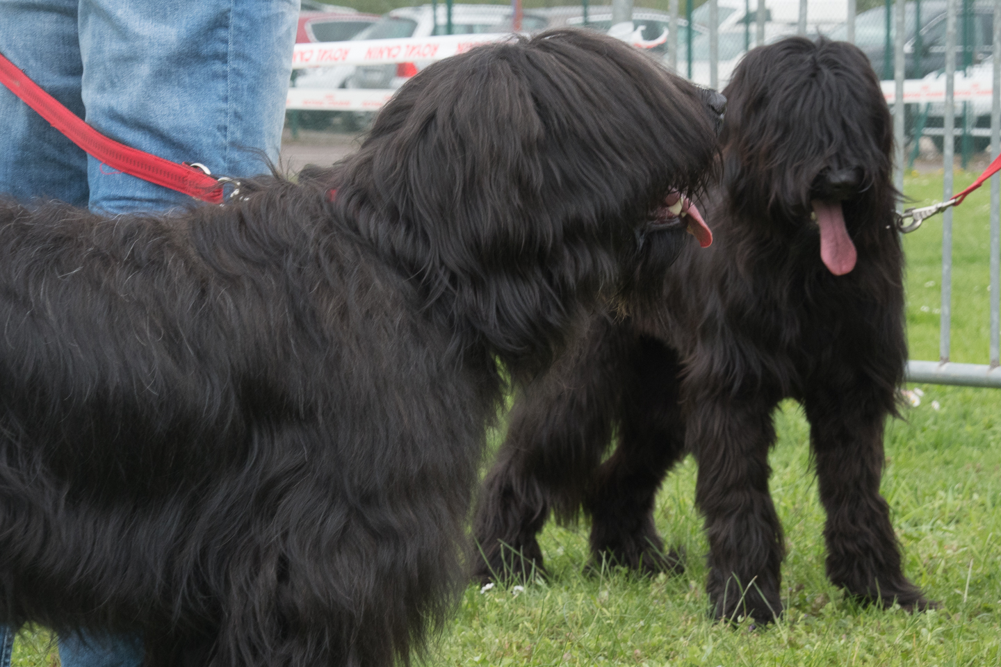 2018_04_15_Manif_Canine_JeF_110.jpg