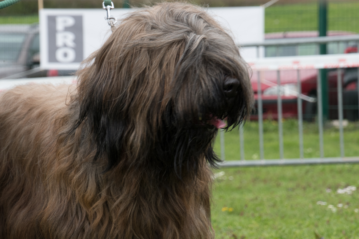 2018_04_15_Manif_Canine_JeF_111.jpg