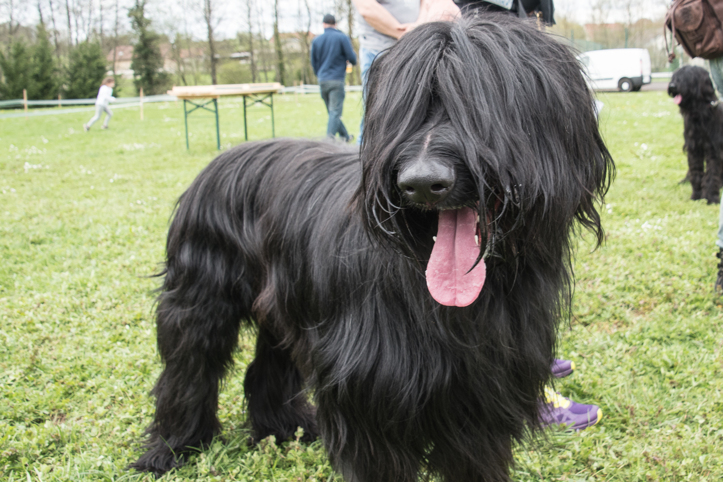 2018_04_15_Manif_Canine_JeF_114.jpg