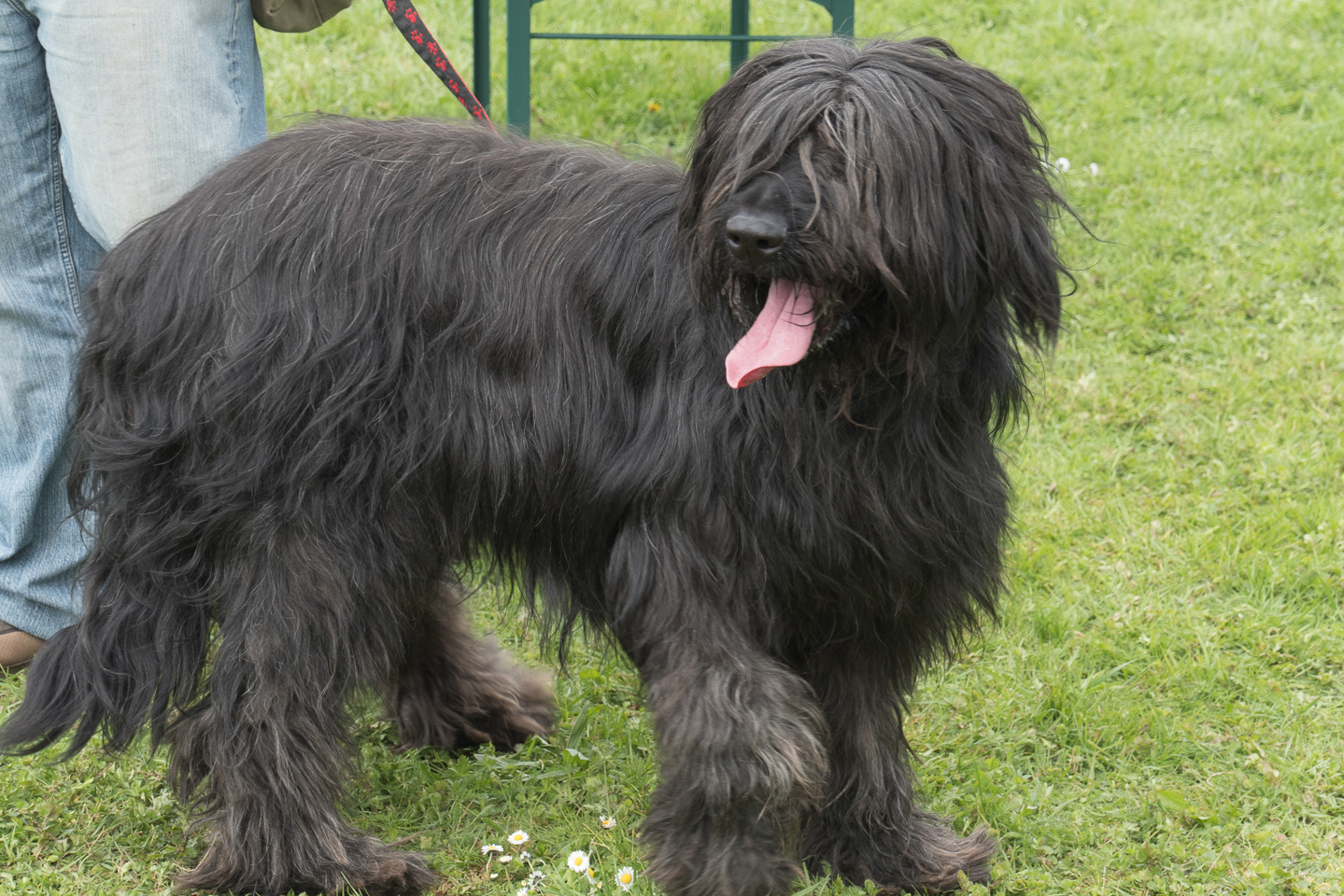 2018_04_15_Manif_Canine_JeF_116.jpg