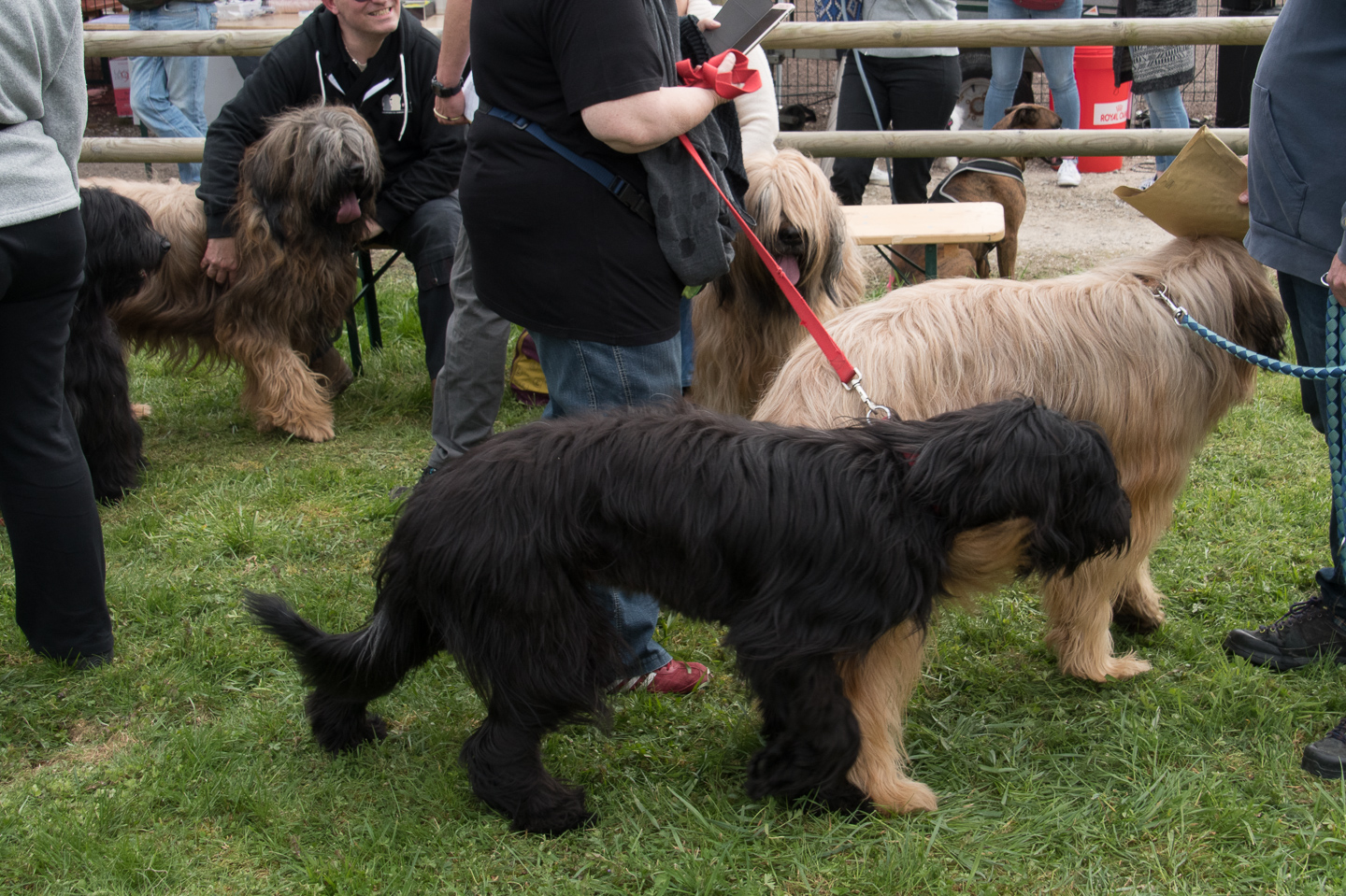 2018_04_15_Manif_Canine_JeF_118.jpg