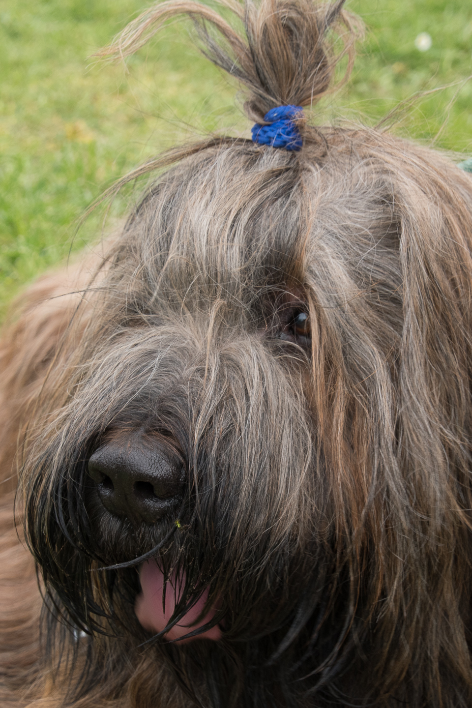 2018_04_15_Manif_Canine_JeF_120.jpg