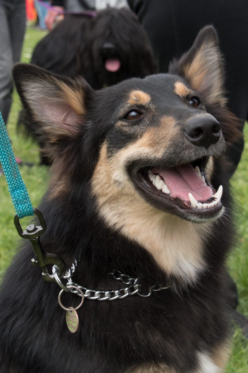 2018_04_15_Manif_Canine_JeF_121.jpg