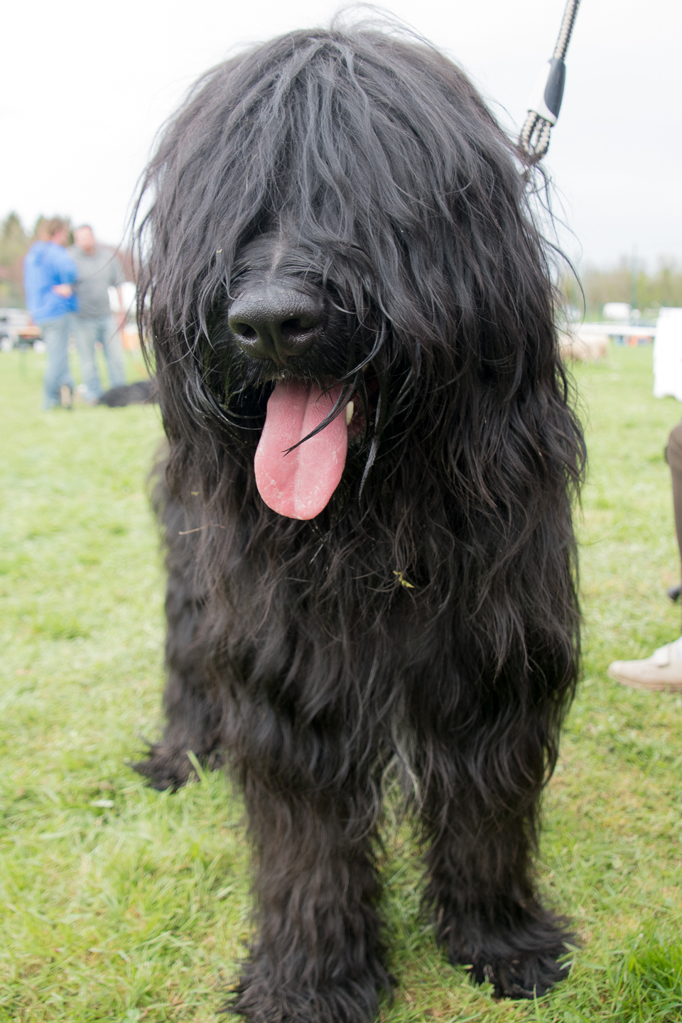 2018_04_15_Manif_Canine_JeF_126.jpg