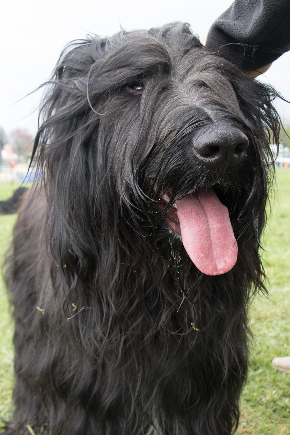 2018_04_15_Manif_Canine_JeF_127.jpg