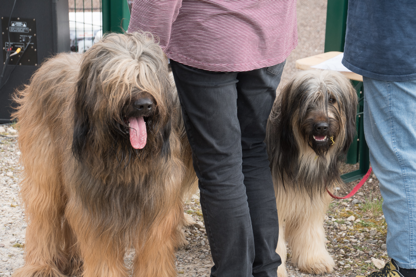 2018_04_15_Manif_Canine_JeF_132.jpg