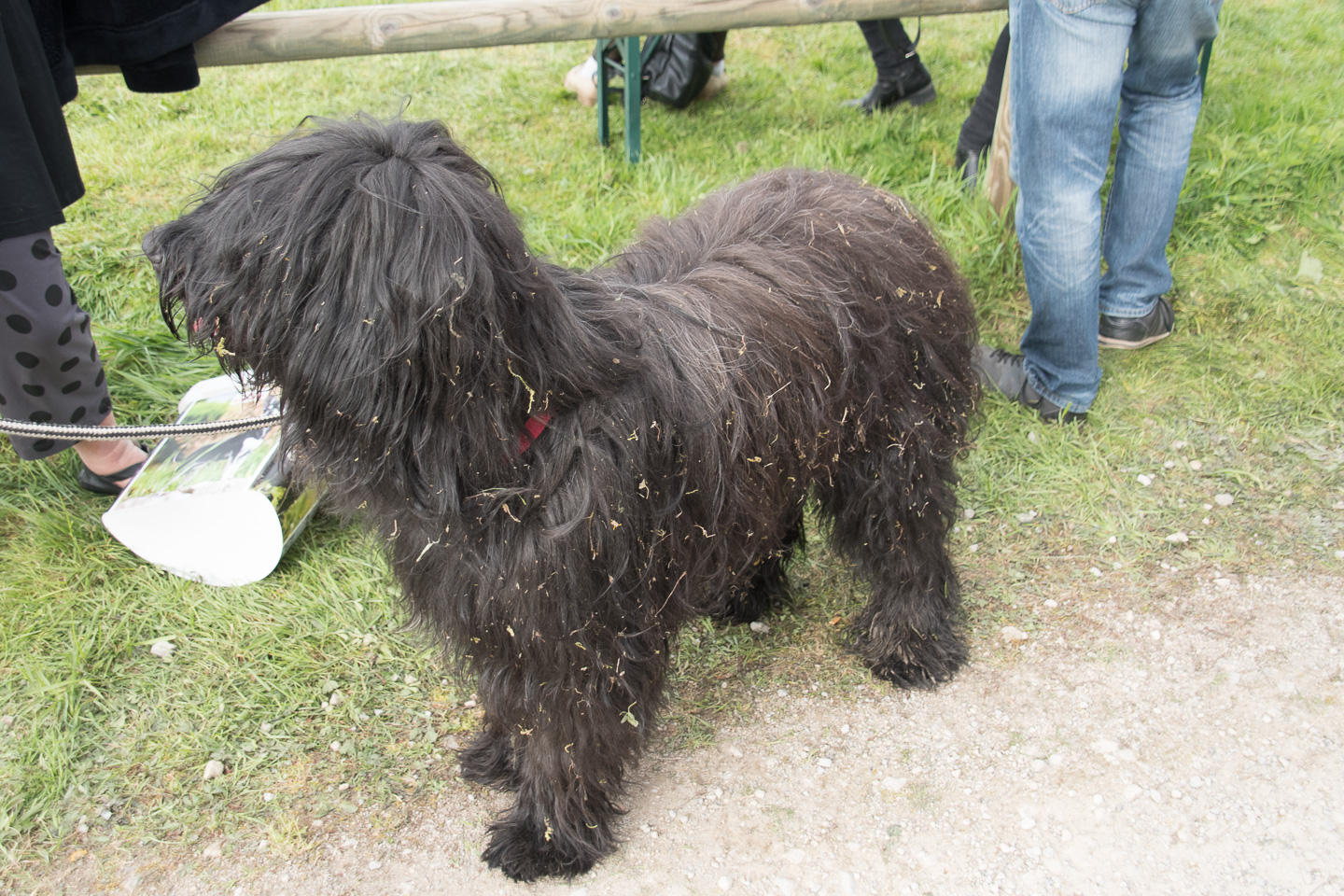 2018_04_15_Manif_Canine_JeF_135.jpg
