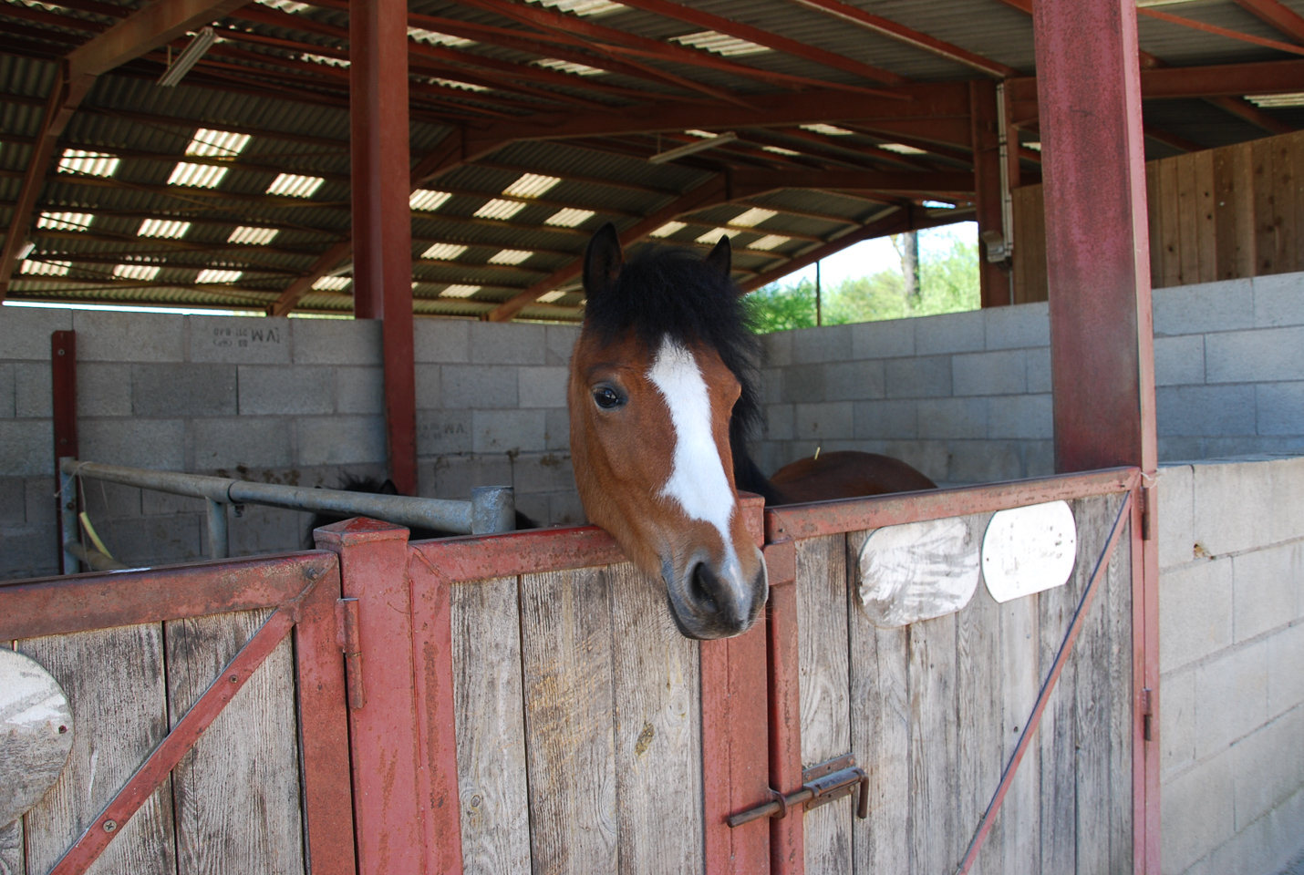 2018_04_19_Sotrie_Poney_Mimi_002.jpg