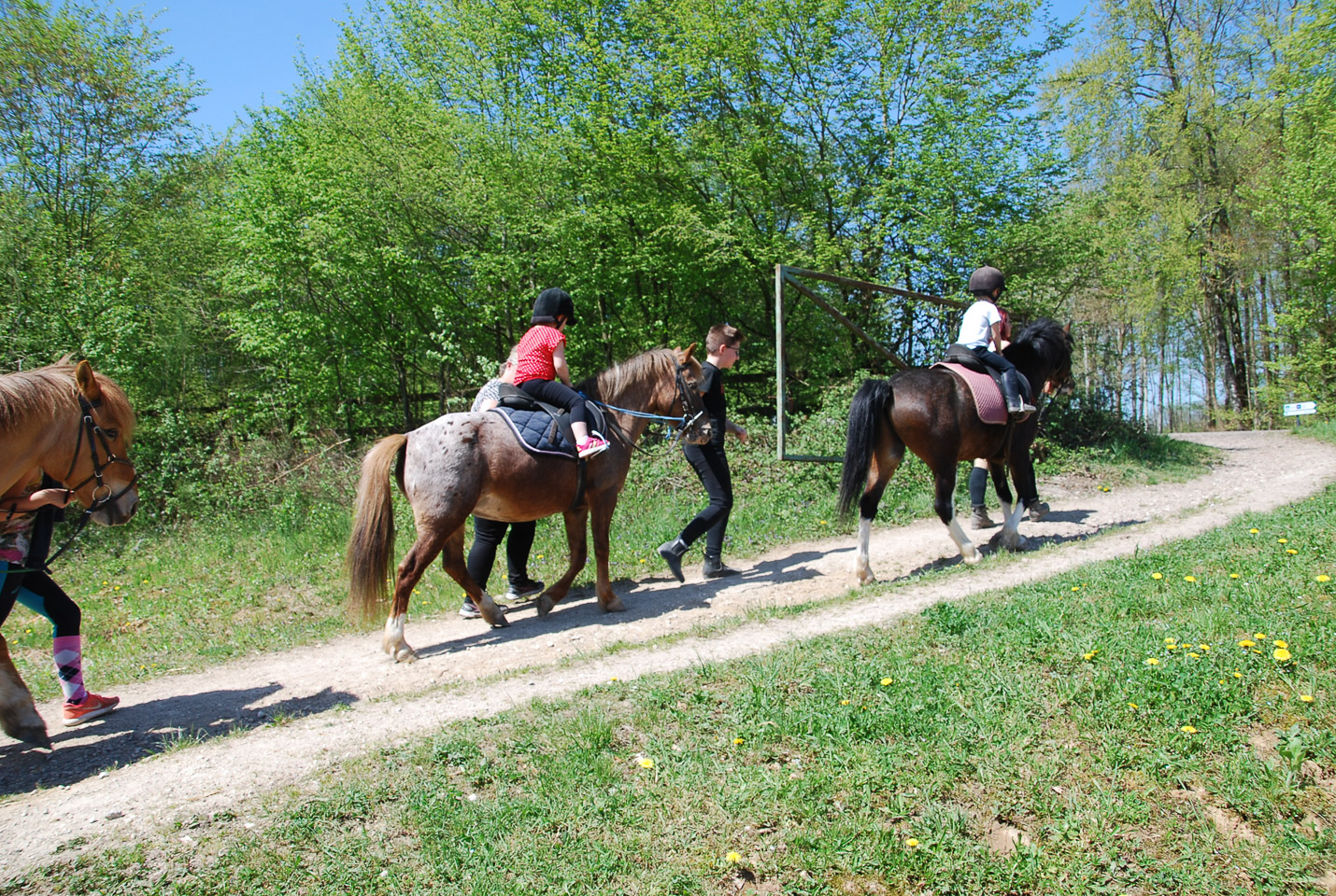 2018_04_19_Sotrie_Poney_Mimi_027.jpg