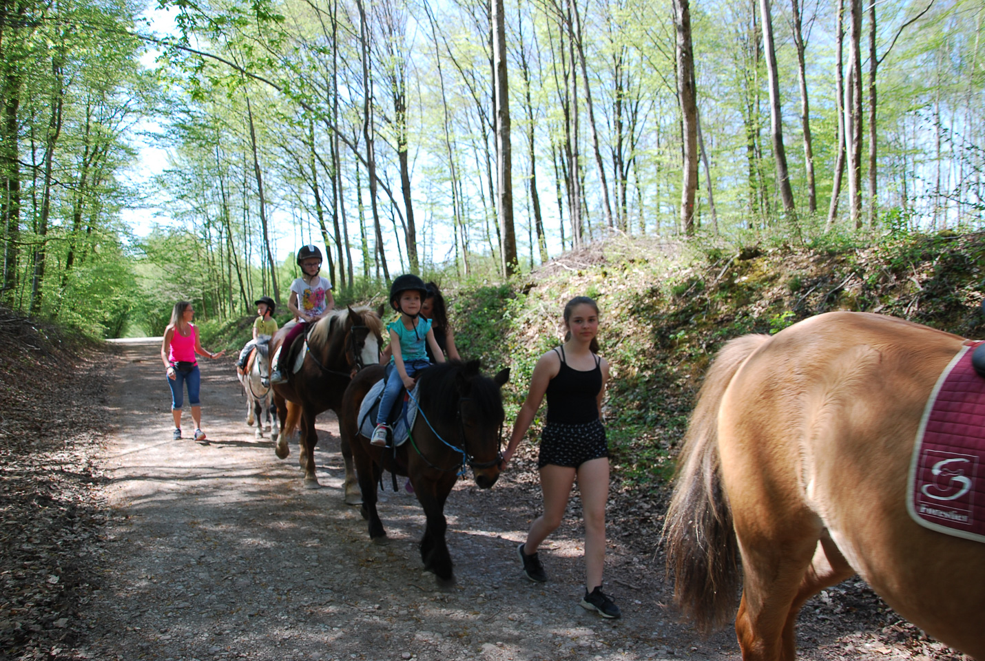 2018_04_19_Sotrie_Poney_Mimi_031.jpg