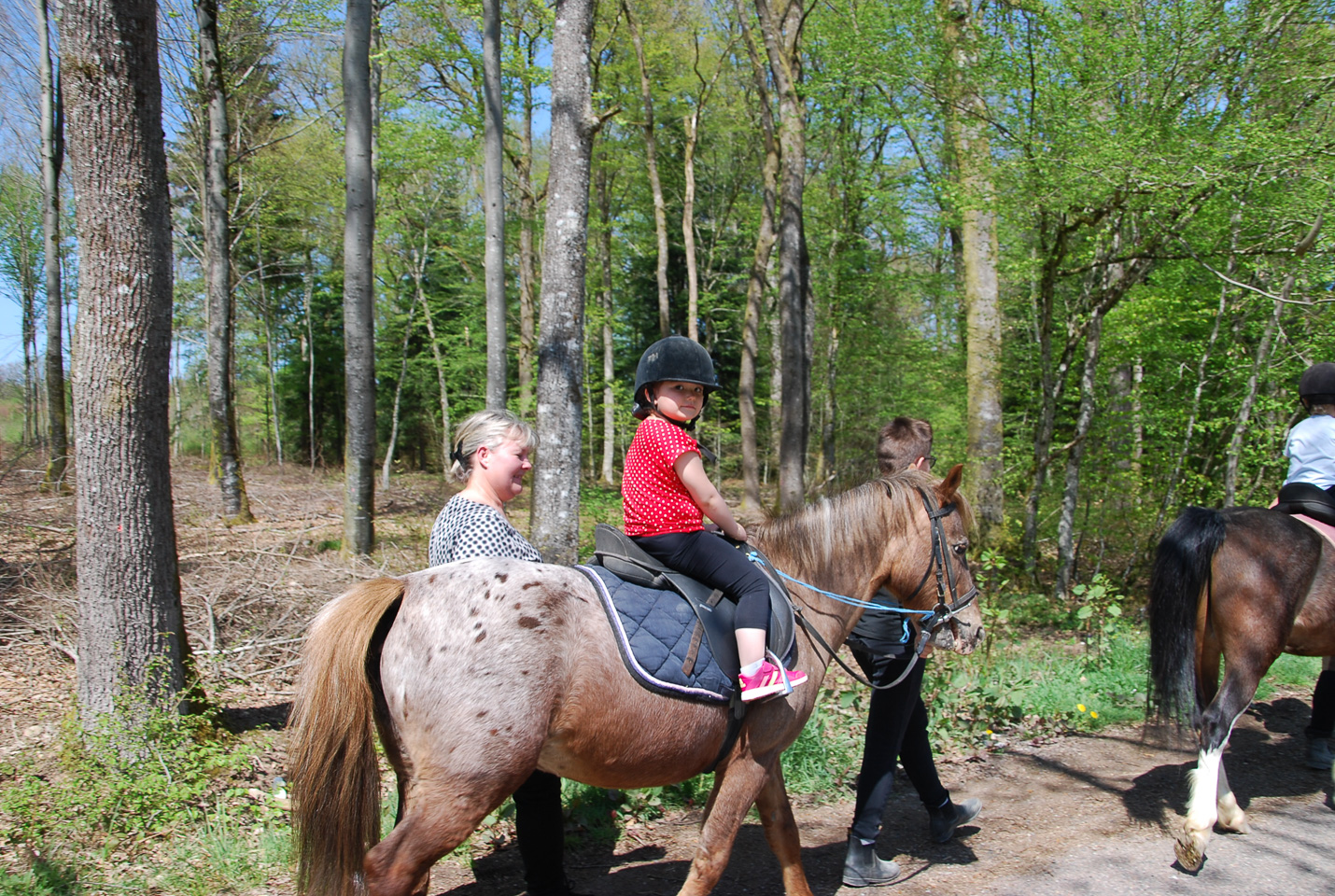 2018_04_19_Sotrie_Poney_Mimi_038.jpg