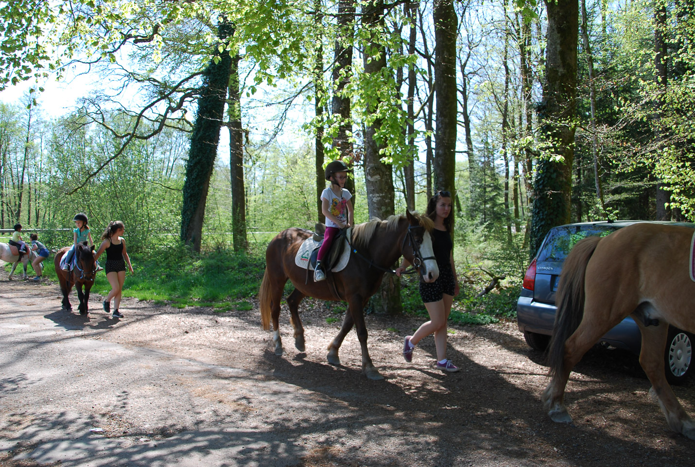 2018_04_19_Sotrie_Poney_Mimi_041.jpg