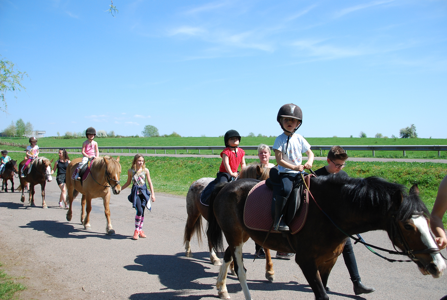 2018_04_19_Sotrie_Poney_Mimi_052.jpg