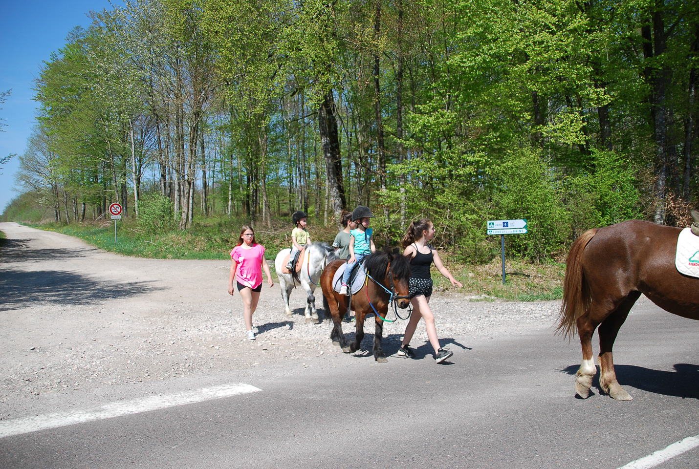 2018_04_19_Sotrie_Poney_Mimi_057.jpg