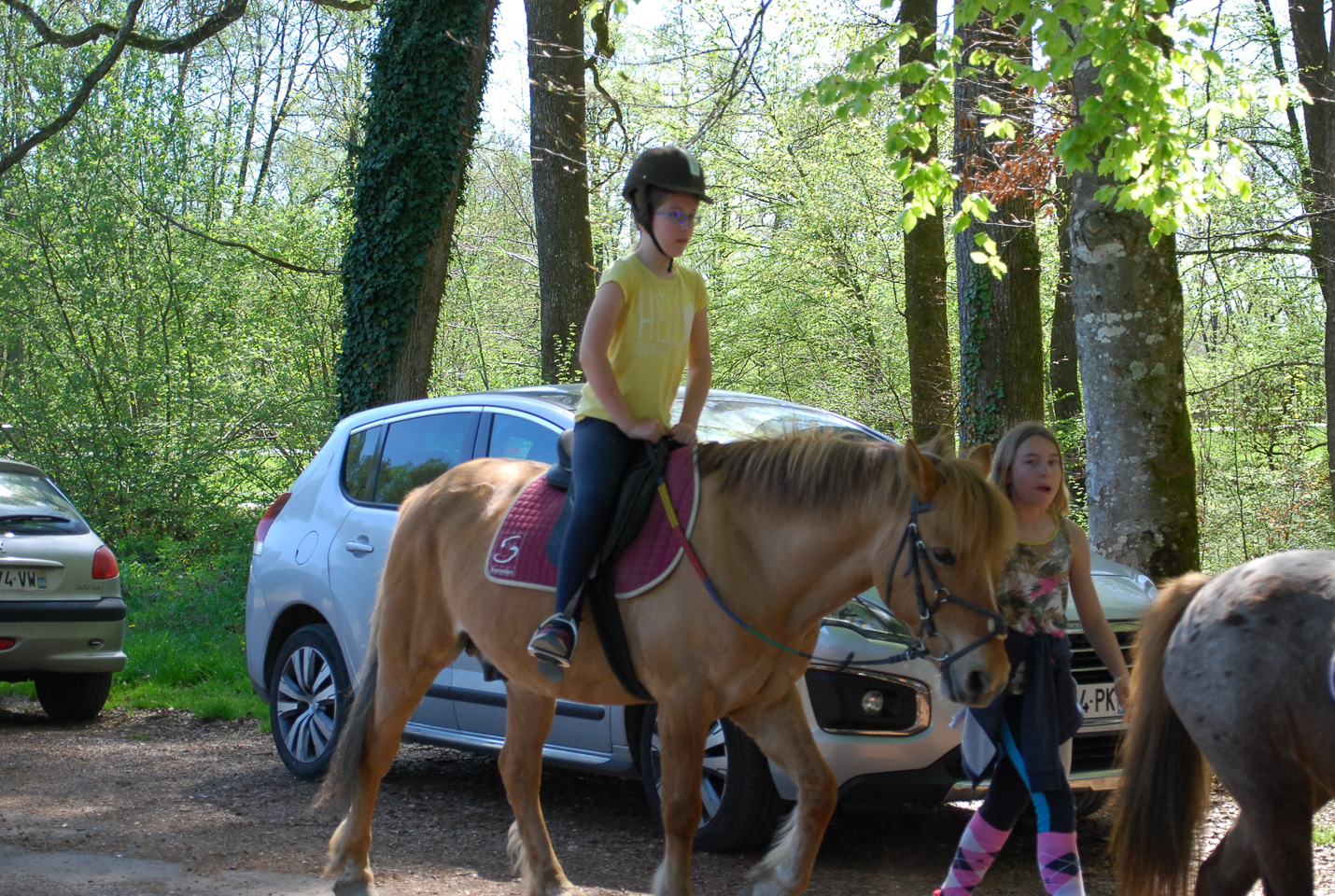 2018_04_19_Sotrie_Poney_Mimi_084.jpg