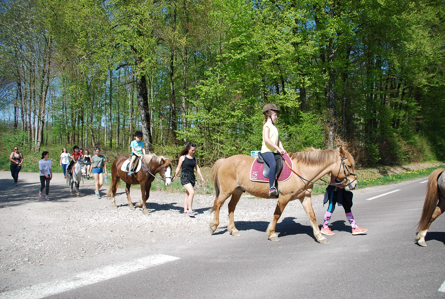 2018_04_19_Sotrie_Poney_Mimi_111.jpg