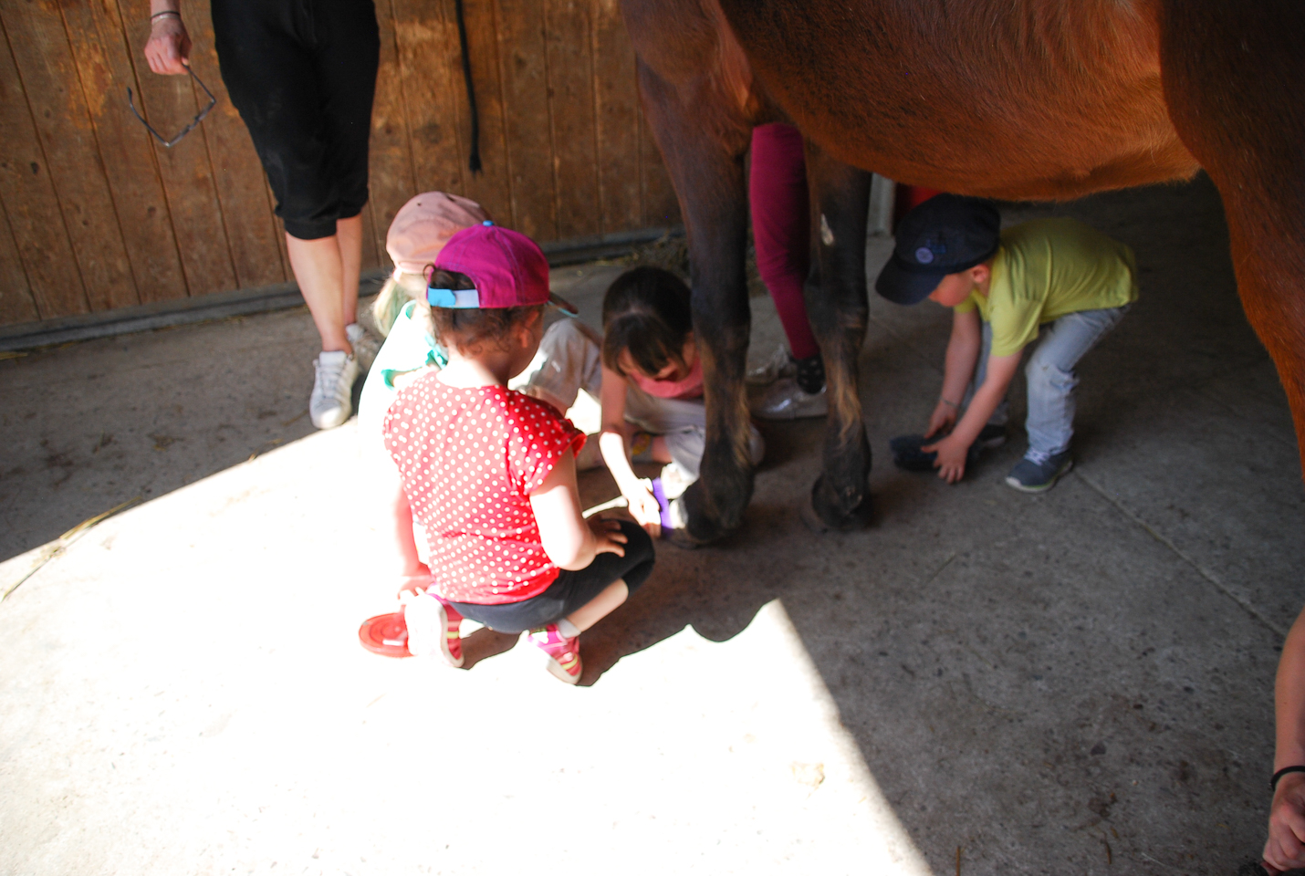 2018_04_19_Sotrie_Poney_Mimi_114.jpg