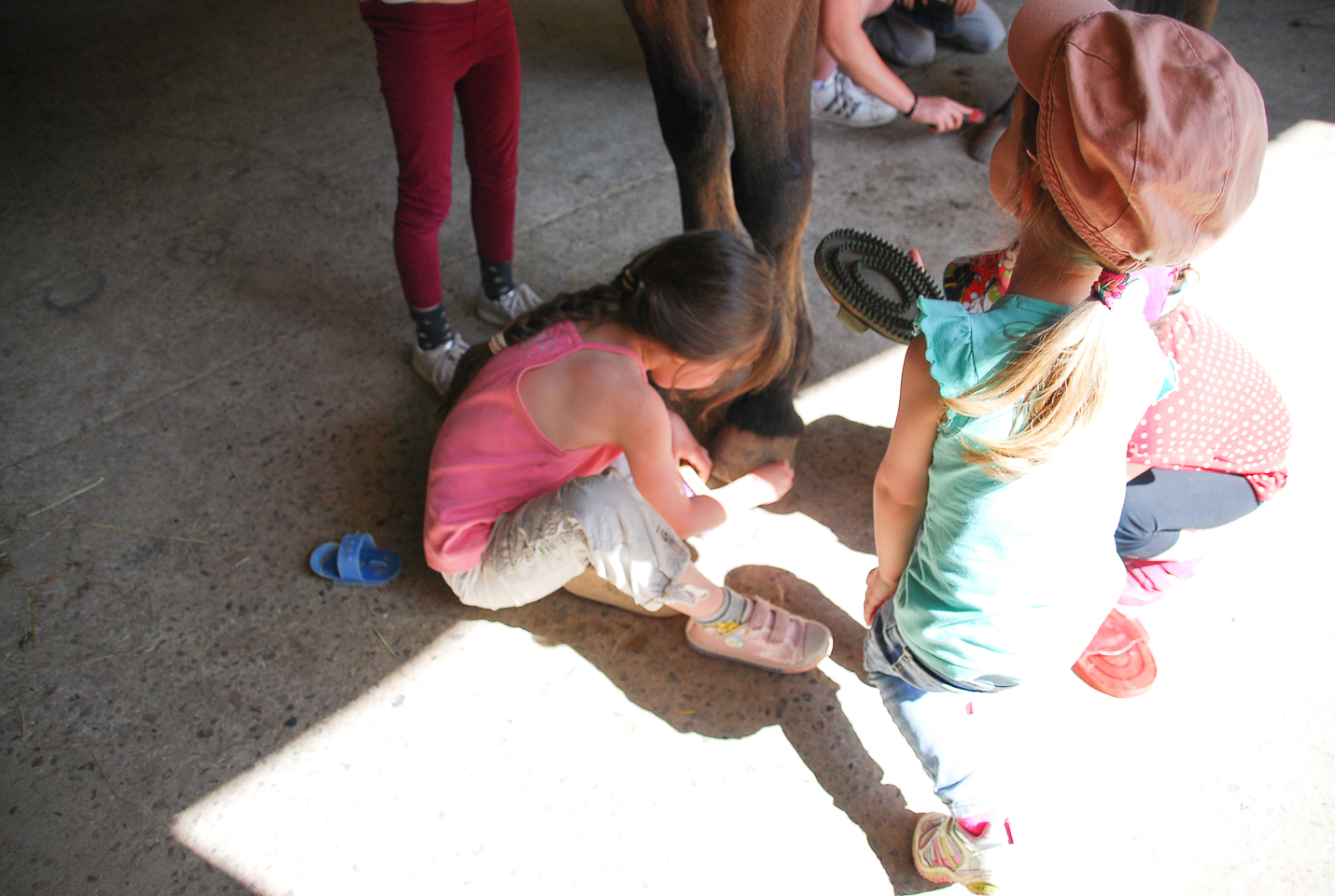 2018_04_19_Sotrie_Poney_Mimi_115.jpg