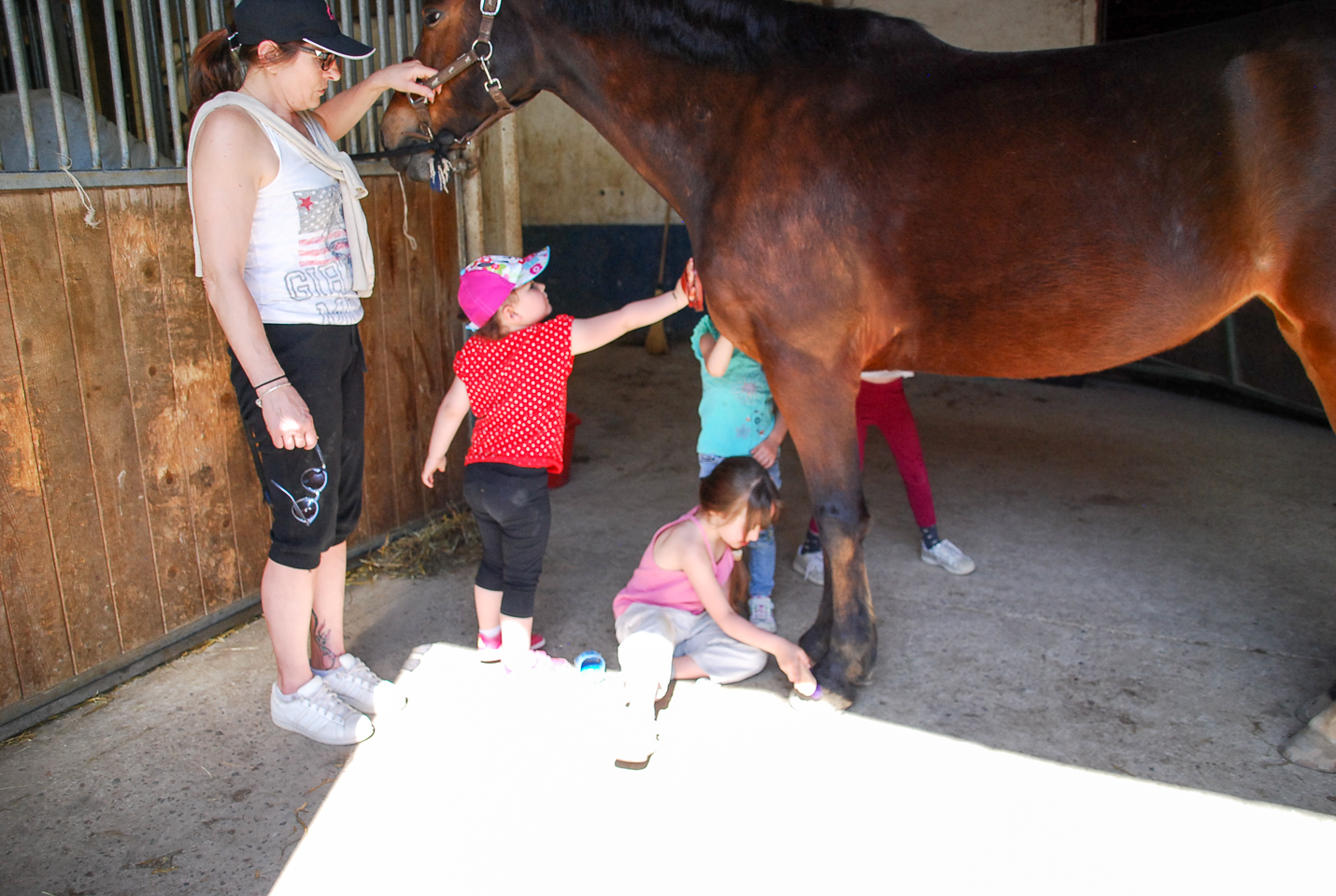 2018_04_19_Sotrie_Poney_Mimi_118.jpg